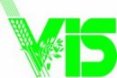 Vis